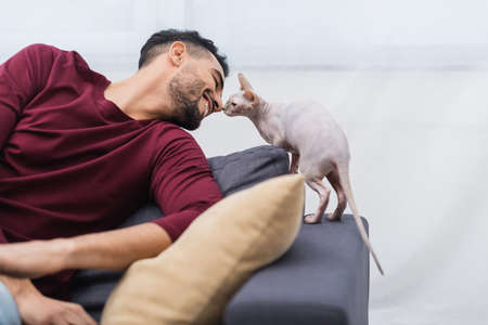 Cheerful arabian man and sphynx cat on couch at home