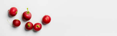 Top view of natural radishes on white background, bannerの写真素材