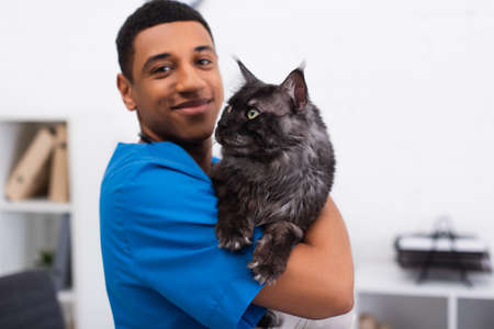 Blurred and smiling african american veterinarian in uniform holding furry maine coon cat in clinic