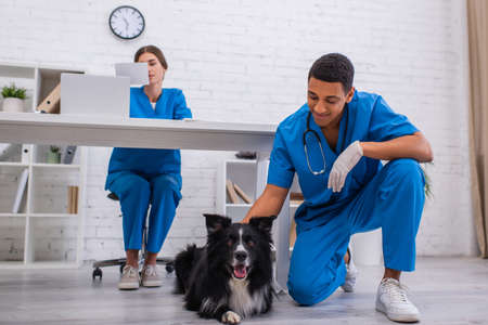 Smiling african american vet doctor petting border collie near blurred colleague in clinicの写真素材