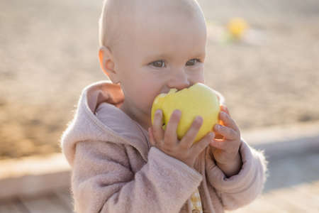 Toddler child eating apple on beachの写真素材