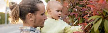 Toddler girl touching plant near father outdoors, bannerの写真素材