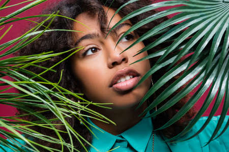 portrait of african american woman with makeup looking away near green tropical leaves isolated on...