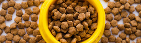 top view of dry pet food in plastic yellow bowl, banner