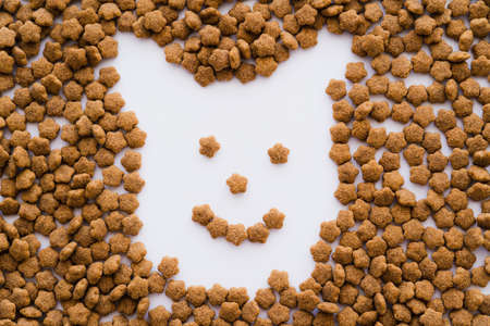 flat lay of dry pet food in shape of cartoon dog on whiteの写真素材