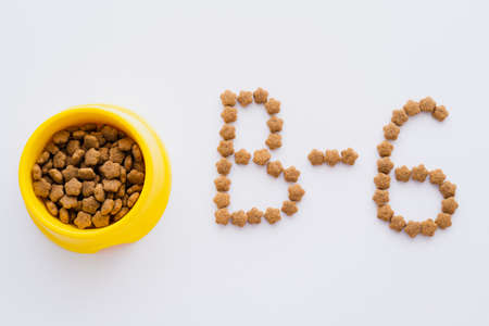flat lay of word made of dry pet food near bowl isolated on whiteの写真素材