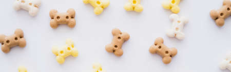 top view of bone shaped cookies for pet isolated on white, bannerの写真素材