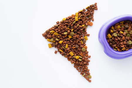 shape of fish made with dry pet food near purple bowl isolated on white