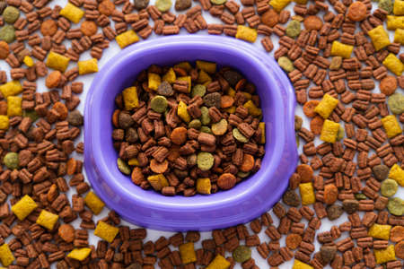 top view of pet dry food around purple bowl
