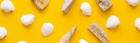 Flat lay with seashells and stones on yellow background, banner
