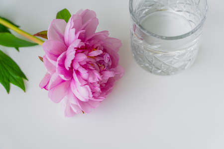 high angle view of fresh pink peony and faceted glass with pure water on white surfaceの写真素材