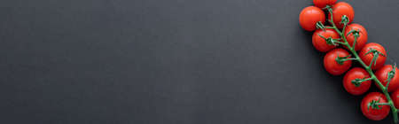 Top view of cherry tomatoes on black background, bannerの写真素材