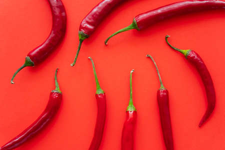 Top view of fresh chili peppers on red backgroundの写真素材