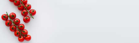 Top view of ripe tomatoes on branches on white background, bannerの写真素材