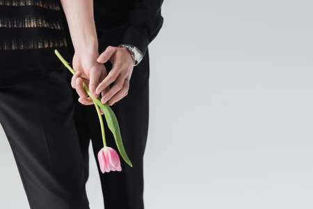 Cropped view of gay touching hand of boyfriend with pink tulip isolated on greyの写真素材