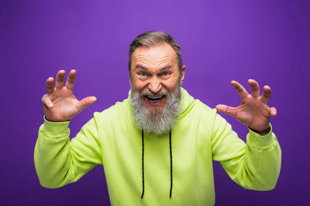 bearded senior man grimacing while gesturing and making scared on purpleの写真素材