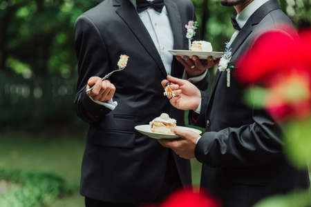 cropped view of gay newlyweds in formal wear holding wedding cake on plateの写真素材