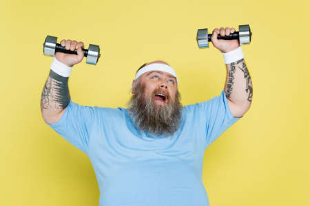 overweight man grimacing while training with heavy dumbbells isolated on yellowの写真素材