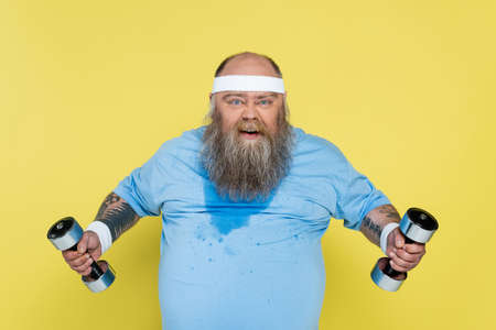 sweaty plus size man grimacing at camera while exercising with heavy dumbbells isolated on yellow