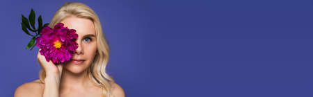 blonde woman with bare shoulders covering eyes with blooming flower and looking at camera isolated on purple, bannerの写真素材