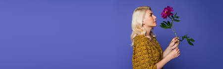 side view of blonde woman in blouse holding purple flower with green leaves isolated on violet, bannerの写真素材