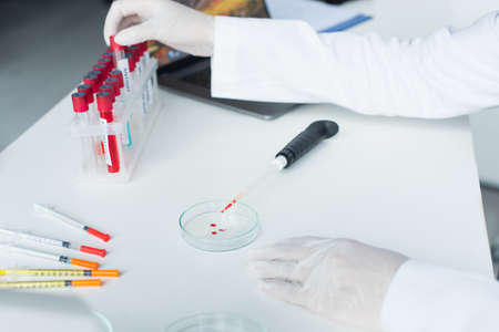 Cropped view of scientist taking test tube near petri dish and pipette in labの写真素材