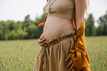 Cropped view of pregnant woman holding poppy flower in blurred fieldの写真素材