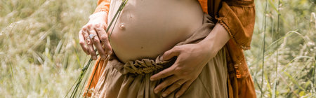 Cropped view of pregnant woman holding grass in summer field, bannerの写真素材