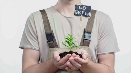 Cropped view of gardener holding plant and board with go green lettering on grey backgroundの写真素材