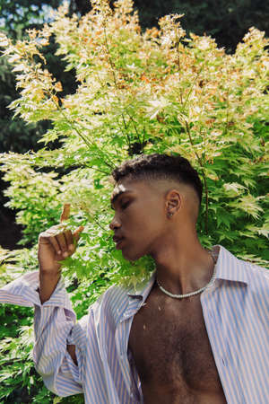 young african american man in beads touching green leaves on bush while posing in parkの写真素材