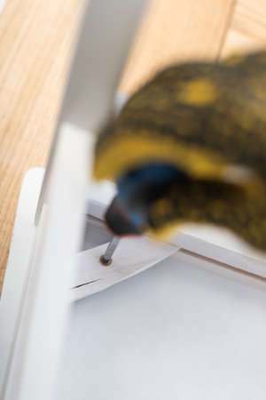 Cropped view of blurred man in glove fixing chair with screwdriver at home