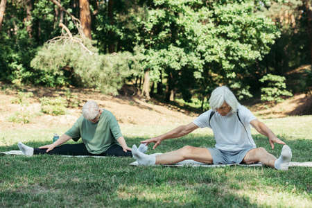 full length of senior couple stretching while exercising on fitness mats in green parkの写真素材