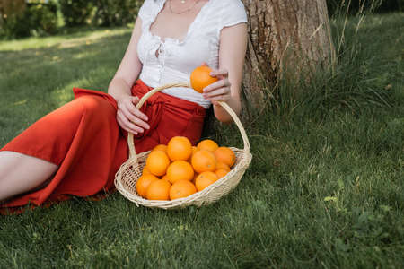 Cropped view of stylish woman holding orange near basket in parkの写真素材