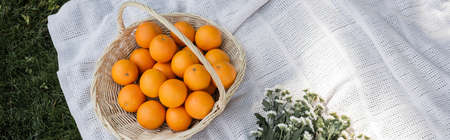 Top view of oranges in basket near flowers on blanket in park, banner