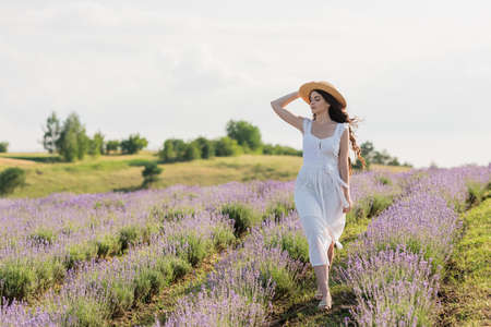 full length of woman in straw hat and white dress walking in lavender fieldの写真素材