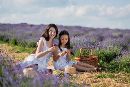 smiling mother and child eating strawberries during picnic in lavender meadowの写真素材