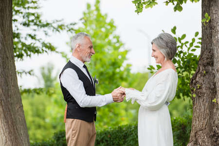 side view of cheerful mature man in formal wear holding hands with smiling bride in wedding dress in...