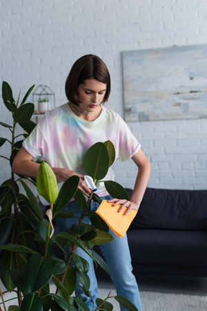 Young woman cleaning plant with rag and detergent in living room