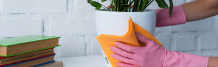 partial view of housewife in rubber gloves cleaning flowerpot with rag, banner