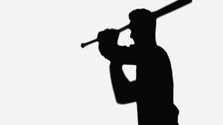 silhouette of man with baseball bat isolated on whiteの写真素材