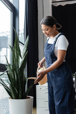 smiling bi-racial cleaner in uniform watering green plant in officeの写真素材