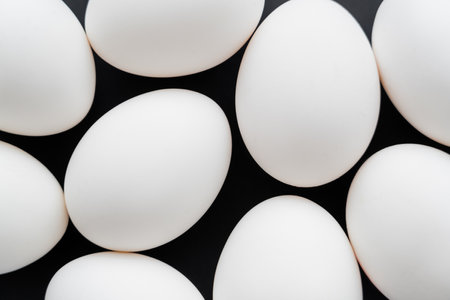 Top view of white chicken eggs isolated on blackの写真素材