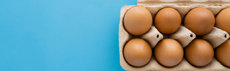 Top view of brown chicken eggs in carton package isolated on blue, banner