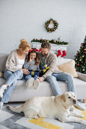 Smiling family looking at opened gift box near labrador during christmas celebration at homeの写真素材