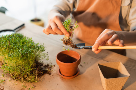 Cropped view of preteen child holding microgreen plant on gardening shovel at home