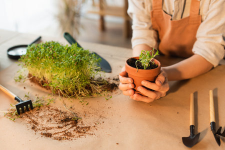 Cropped view of girl holding flowerpot with microgreen near gardening tools at homeの写真素材