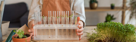 Cropped view of kid holding glass test tubes with plants at home, bannerの写真素材