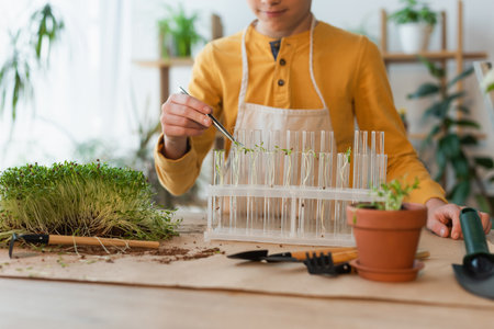 Cropped view of boy with tweezers putting plants in test tubes at homeの写真素材