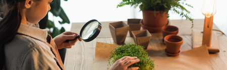 Side view of kid in apron holding magnifying glass and touching microgreen plant at home, banner