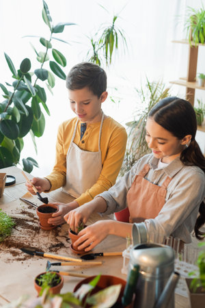 Smiling kids planting microgreen near blurred test tubes and watering can at homeの写真素材